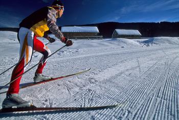 Cross-country ski